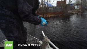 Рейд на Оби – ищем сети, убираем мусор. Нижневартовск