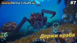 Держи краба   |   Subnautica 2   |   #7