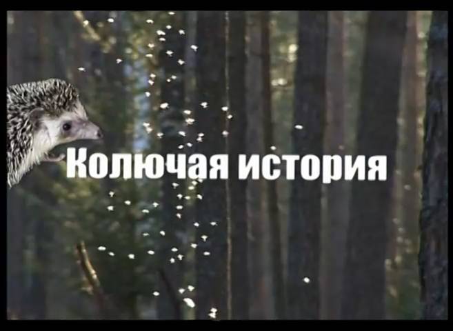 Колючая история (2009) смотреть онлайн
