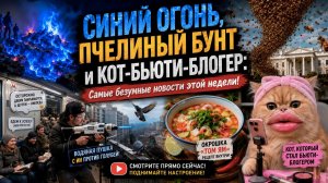 Синий ад вулкана Иджен / Пчёлы атакуют Белый дом / Окрошка «Том Ям» и кот-модник - что творится
