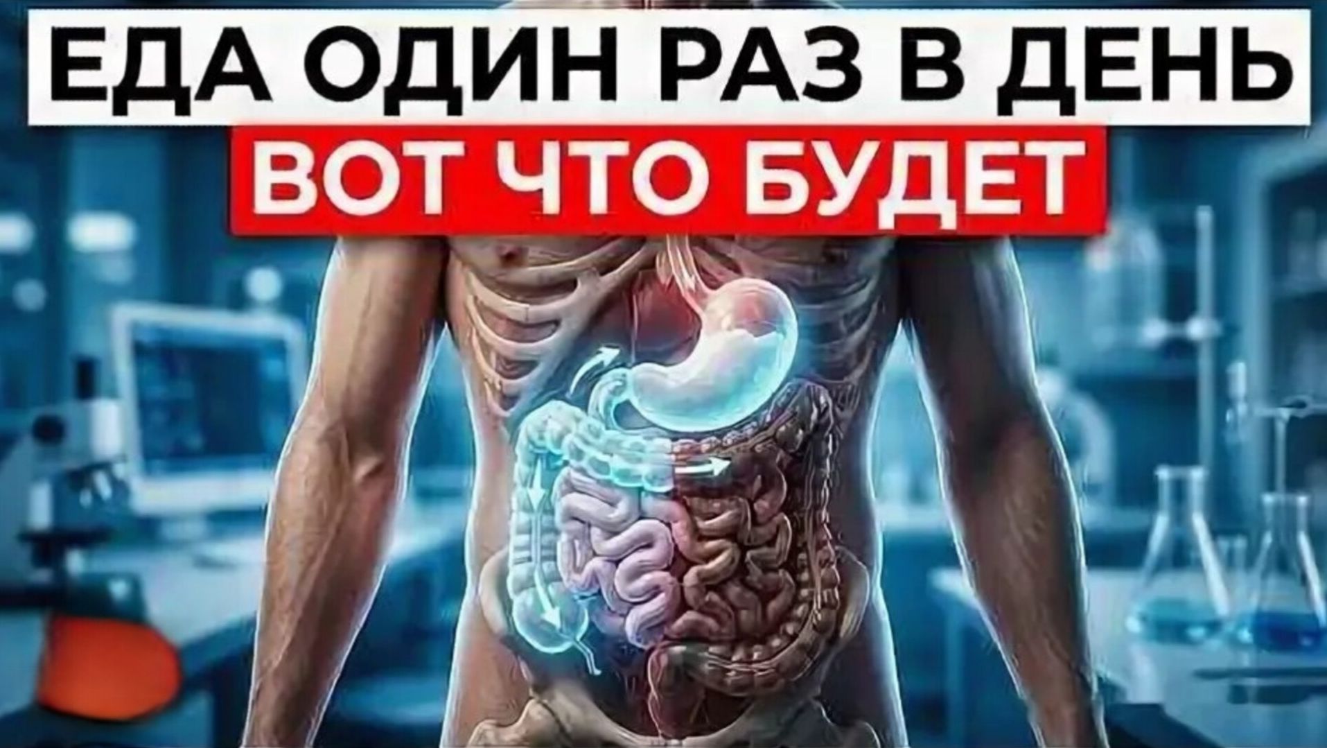 23 Часа Без Еды: Что Происходит Внутри Тебя Каждый Час: Японский Метод