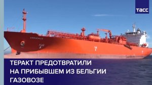 Спецслужбы предотвратили теракт на прибывшем из Бельгии в порт Усть-Луга заминированном газовозе
