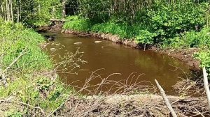 По заброшенной дороге доехали до озера Глубокое.