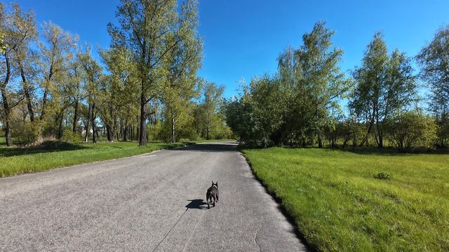 Krasnoyarsk 'East Tatyshev Park' Walking Tour 4K
