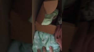 костюмы басика кстати я вам забыла в видео сказать то что есть хорошая новость что видео теперь буду