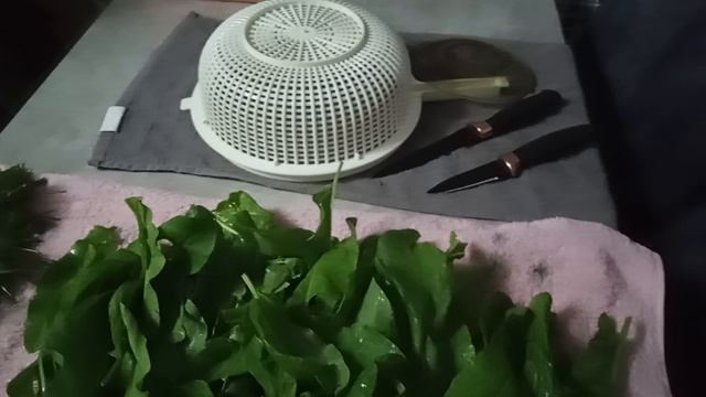 25-05-2026 мои хорошие зделала салат и мне не жирно. смотреть онлайн