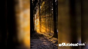 «Библейские лица:Апостол Иаков Алфеев».