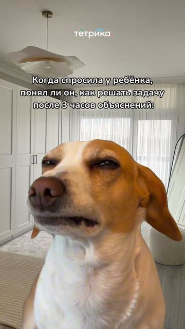 Домашка с ребёнком