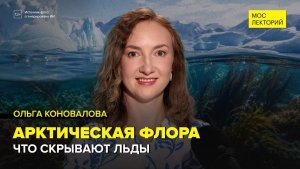 Флора арктических морей | Ольга Коновалова Лекция 2026 | Мослекторий