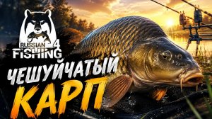 [Фидер] Точка на «Карп чешуйчатый» , Р. Ахтуба [RF-4]