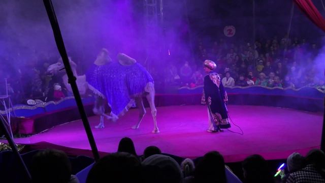 Воронежский-цирк-алле-в-Конаково-31.05.2018 смотреть онлайн