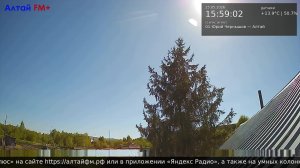 LIVE: dxlebedev