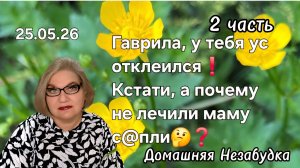 2 часть. Гаврила, у тебя ус отклеился❗️Кстати, а почему не лечили маму с@пли🤔❓️