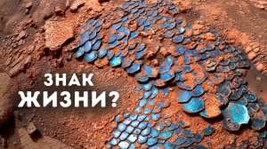 NASA нашла на Марсе что-то похожее на гигантскую рептилию