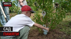 Клёны высадили в Балашихе в память о погибших в СВО