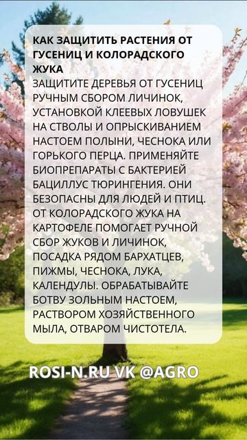 Как защитить растения от гусениц и колорадского жука