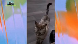 Удивительные животные !!!
