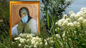 28 мая день Пахомия. Понаблюдайте за погодой, она предскажет, каким будет лето.