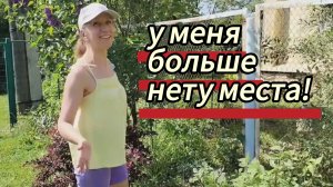 У меня больше нету места! Меняем бочки на капельный полив. Михалыч доволен смородиной. 22.05.2026