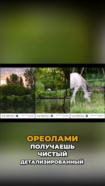 🤓 Снимки любой сложности он делает легко? / Обзор Vivo X200 Ultra смотреть онлайн
