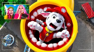 МОЙ ДРОН СНЯЛ SLIDE EATER VS ЩЕНЯЧИЙ ПАТРУЛЬ В 3 ЧАСА НОЧИ!!!