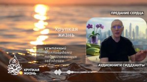Хрупкая жизнь. Аудиокниги Сиддханты (Вячеслава Чернина)