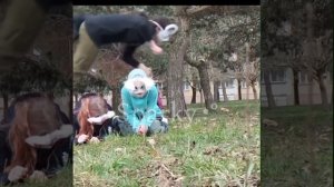 Я🐾Перепрыгнула 🌿Двоих.🔥Вообще 🌱Неплохо)🤪