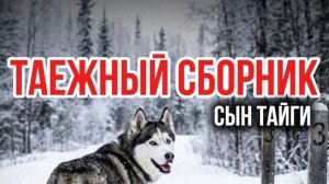 Таежные рассказы  СЫН ТАЙГИ