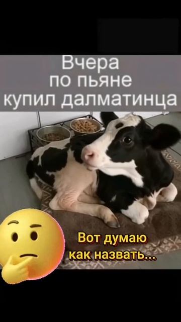 COOLCLIPS_191_подписывайся смотреть онлайн