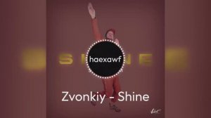Zvonkiy - Shine (official)
