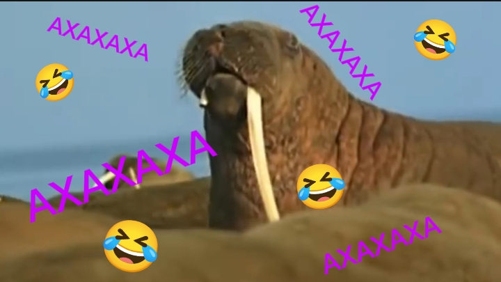 денег нет.mp4 смотреть онлайн