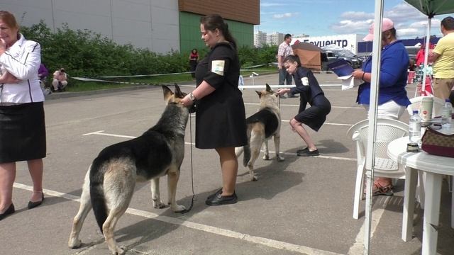 Класс чемпионов смотреть онлайн