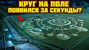 Камера наблюдения фермера сняла как ночью на поле за секунды появился странный и сложный узор