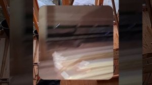 1000059782.mp4 (Собака наблюдает за устройством лестницы на 2-ой этаж в доме А-фрейм)