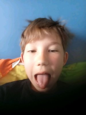 батут