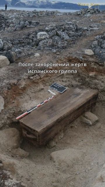 Запрет на смерть