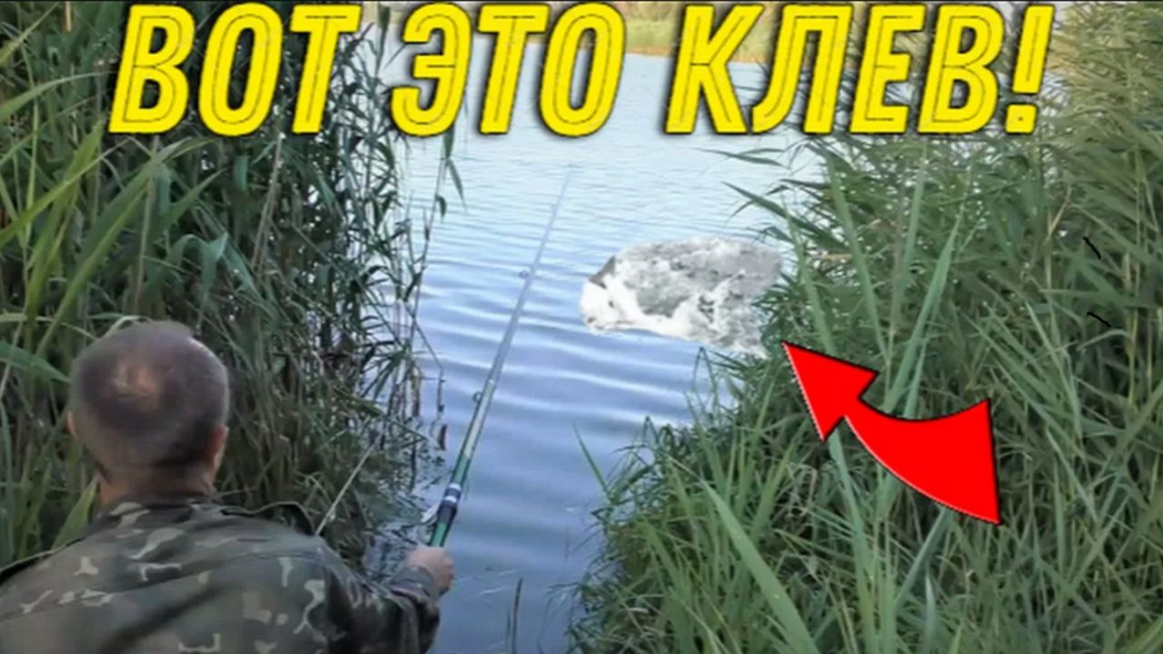 Эта РЫБАЛКА в КАМЫШАХ Запомнится на ДОЛГО, Клюет Одна за Одной не Успеваю ВЫНИМАТЬ!!!