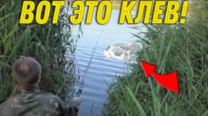 Эта РЫБАЛКА в КАМЫШАХ Запомнится на ДОЛГО, Клюет Одна за Одной не Успеваю ВЫНИМАТЬ!!!