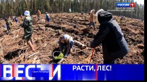 Вести Санкт-Петербург. Выпуск 11.30 от 25.05.2026