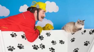 Строим Домики для Животных # Смешные Челленджи ч. 2