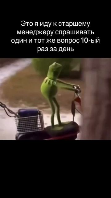 #офис #офисныебудни #тдфарма