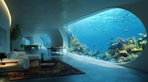 This Is the Last Safe Place on the Planet. The Ocean Knows It