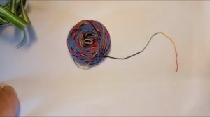 СП Носочная дюжина 4 🧶 старт 9