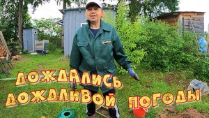 ДОЖДАЛИСЬ ДОЖДЛИВОЙ ПОГОДЫ