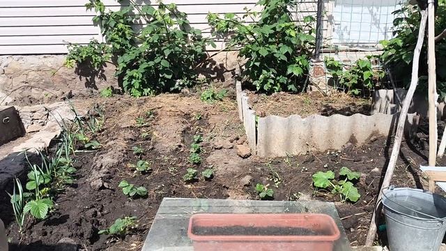 В огороде 🌿☘️🌱. КОСИМ🌿☘️🌱 смотреть онлайн