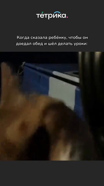 После обеда