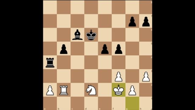 9 партия Михаил Чигорин - Вильгельм Стейниц 0 - 1