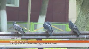 В Мордовии на смену жаре идёт похолодание