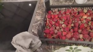 Пора к косметологу!) Наелись клубники, на ужин пироги с подножных продуктов!)