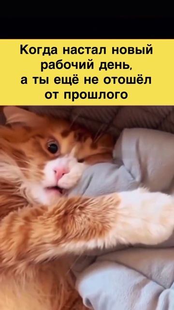 COOLCLIPS_025_подписывайся смотреть онлайн